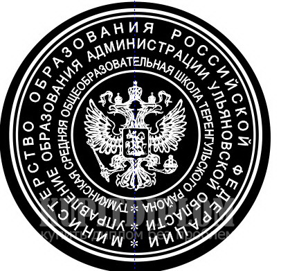 Негатив печати школы Ульяновской области образца 1997 года